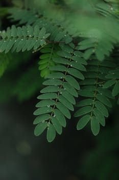 Benefits Compared to Traditional Memory Architectures