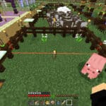 Despawn Items in Minecraft - In Minecraft a mob, an item that you drop or an unplaced object is prone to disappear in a set amount of time depending on the time of the day and under particular situations.