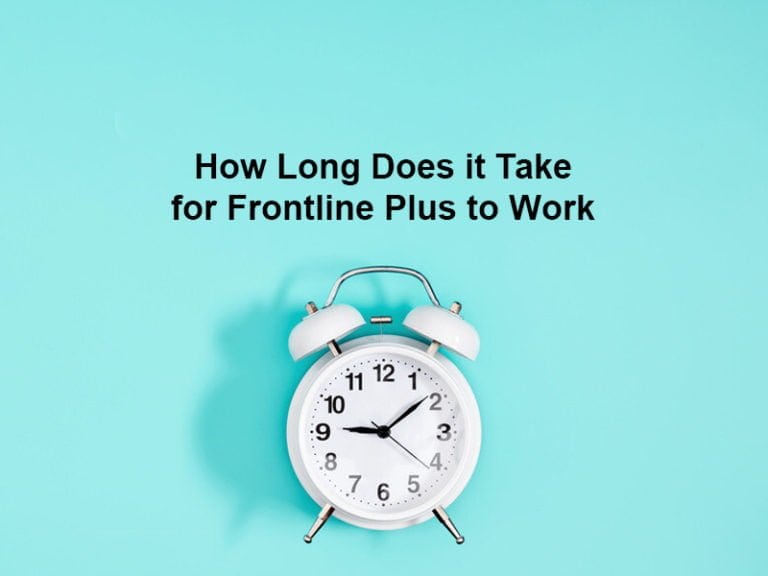 How Long Does it Take for Frontline Plus to Work (And Why)?