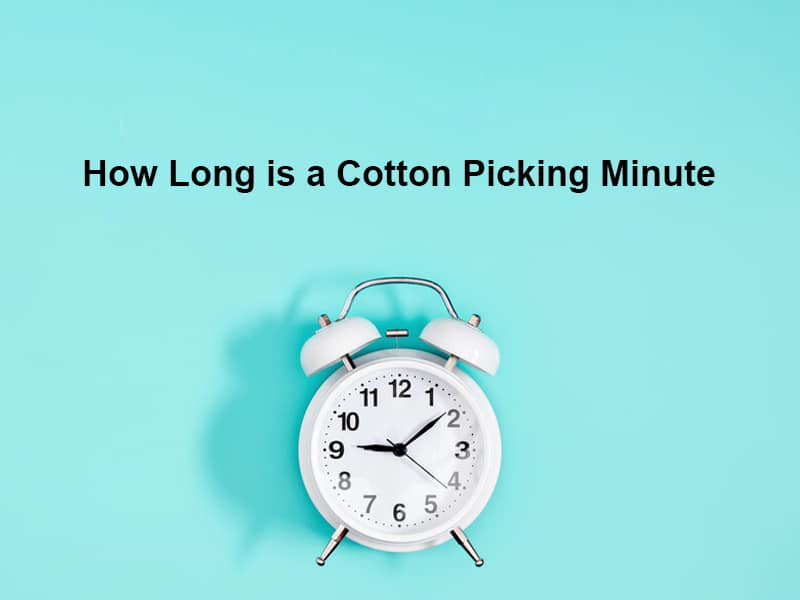 How Long is a Cotton Picking Minute