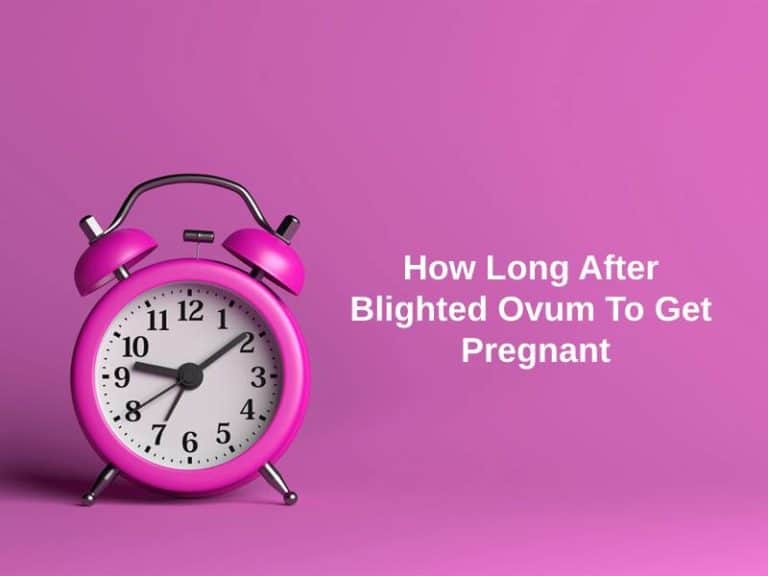 How Long After Blighted Ovum To Get Pregnant And Why