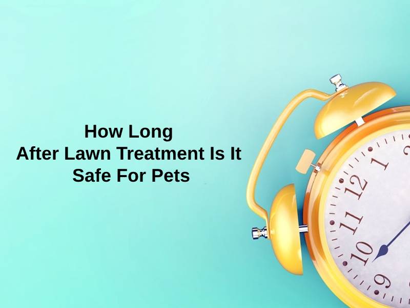 How Long After Lawn Treatment Is It Safe For Pets - A lawn is referred to as an area of land covered with soil and is planted with various types of plants and grasses. The plants in the lawn are shorter in height, such as clover. These plants are used for recreational and aesthetic purposes. Some of the standard terms used in lawn areas are green, field, pitch, and turf.