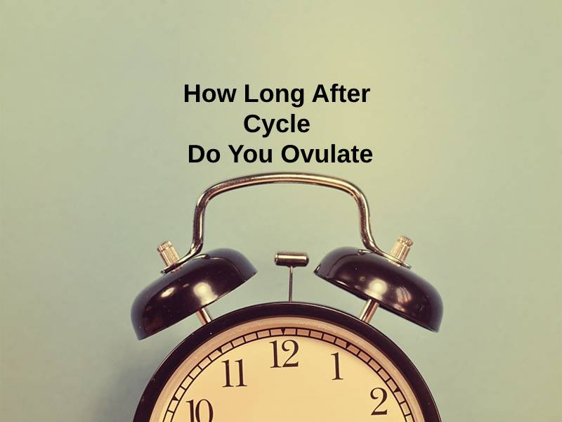 How Long After Cycle Do You Ovulate