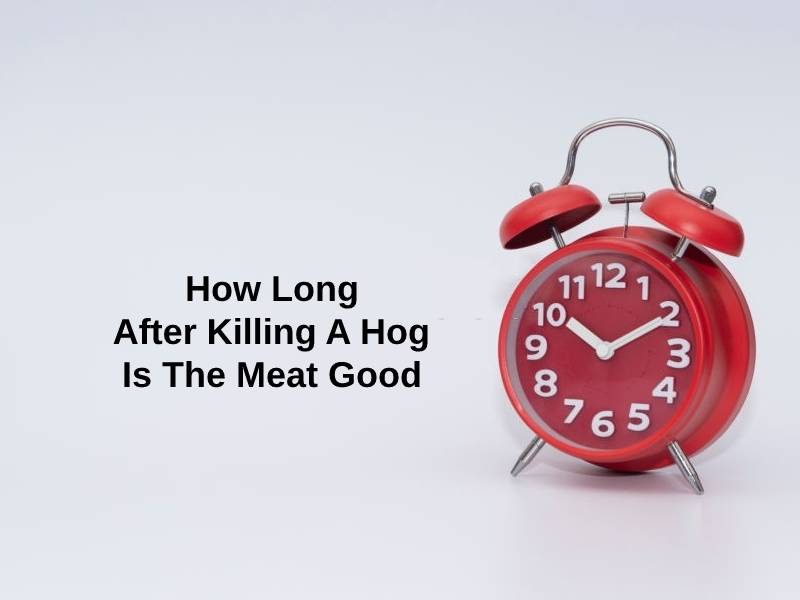 How Long After Killing A Hog Is The Meat Good