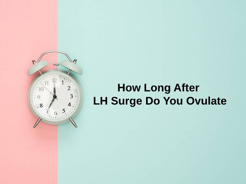 How Long After LH Surge Do You Ovulate