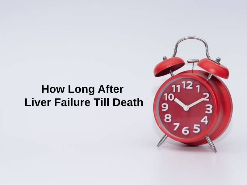 How Long After Liver Failure Till Death