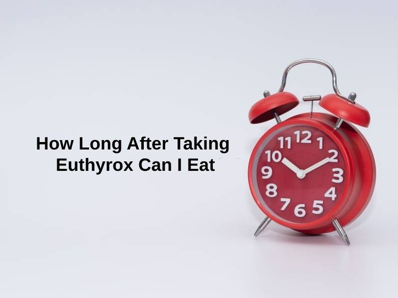 How Long After Taking Euthyrox Can I Eat
