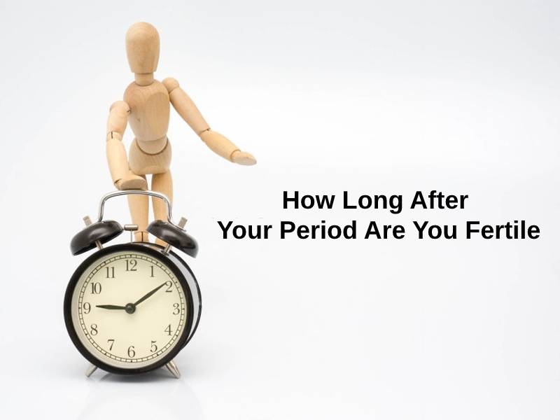 How Long After Your Period Are You Fertile