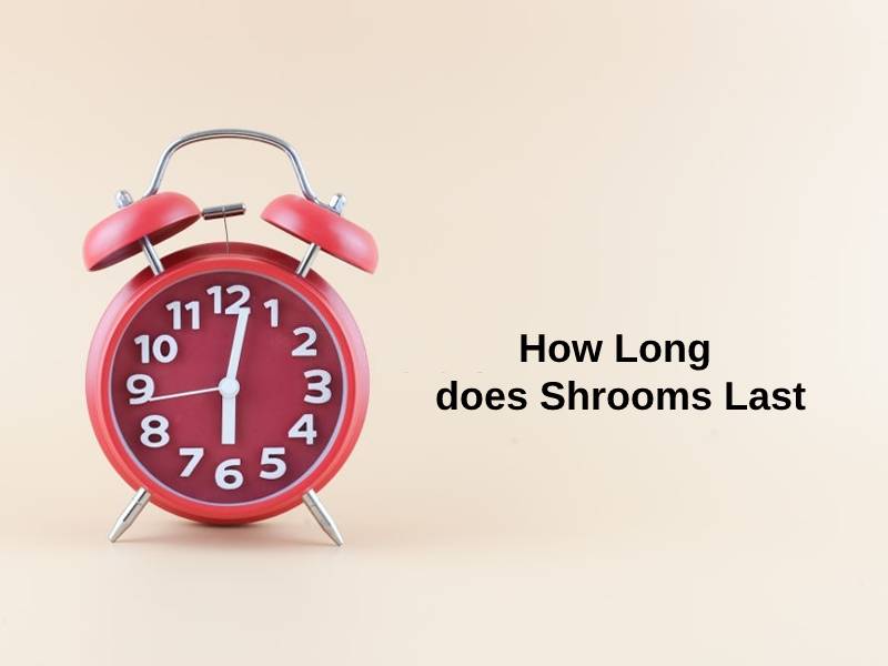 How Long does Shrooms Last