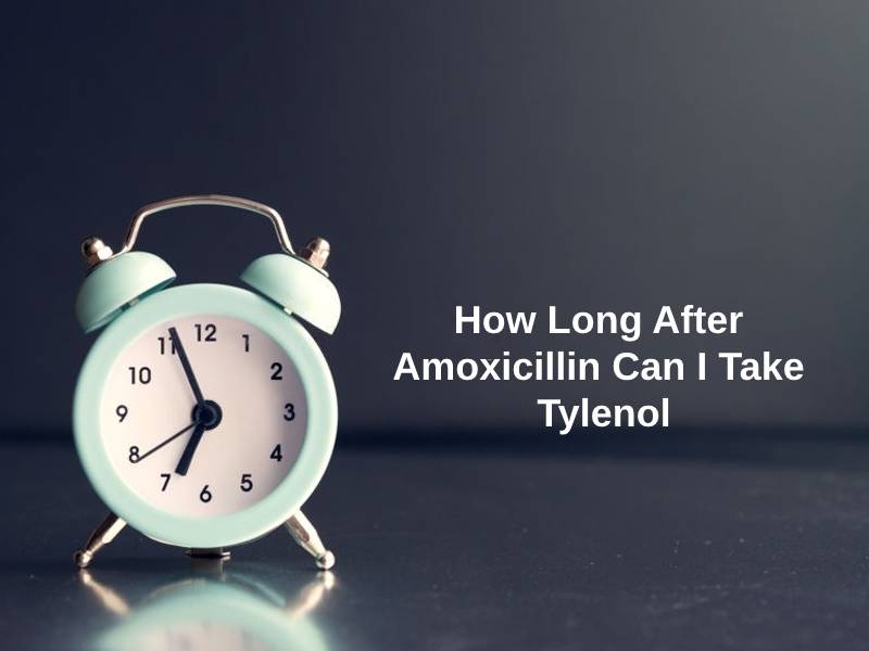 How Long After Amoxicillin Can I Take Tylenol
