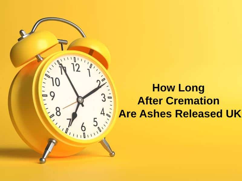 How Long After Cremation Are Ashes Released UK