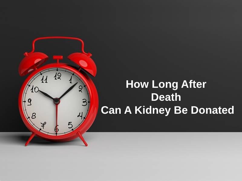 How Long After Death Can A Kidney Be Donated