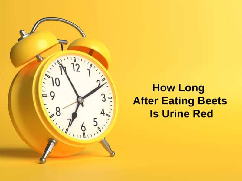 How Long After Eating Beets Is Urine Red