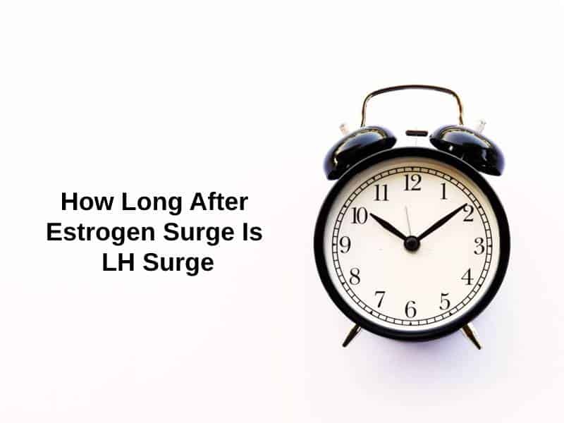 How Long After Estrogen Surge Is LH Surge