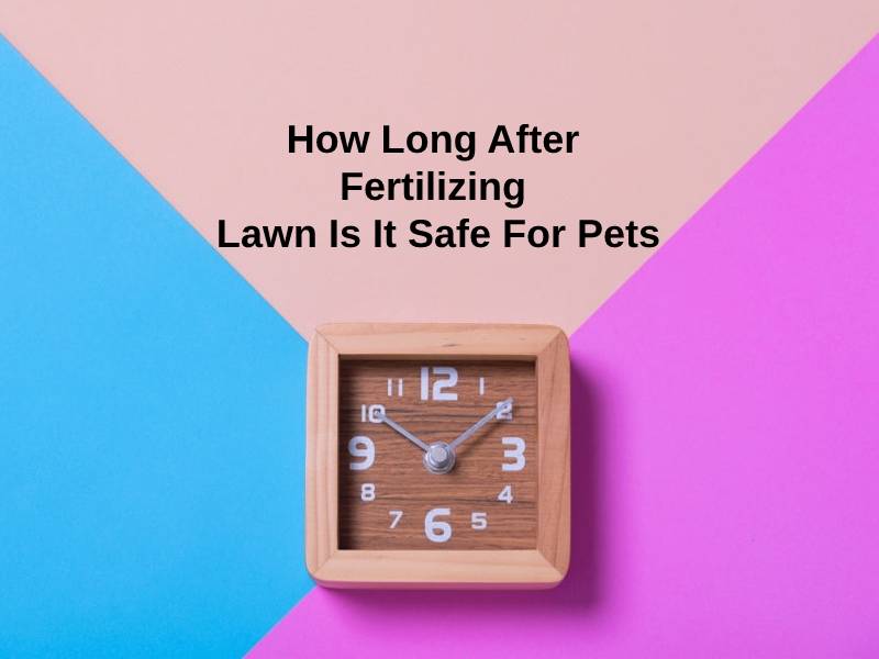 How Long After Fertilizing Lawn Is It Safe For Pets