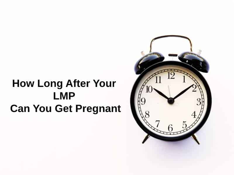 How Long After Your LMP Can You Get Pregnant