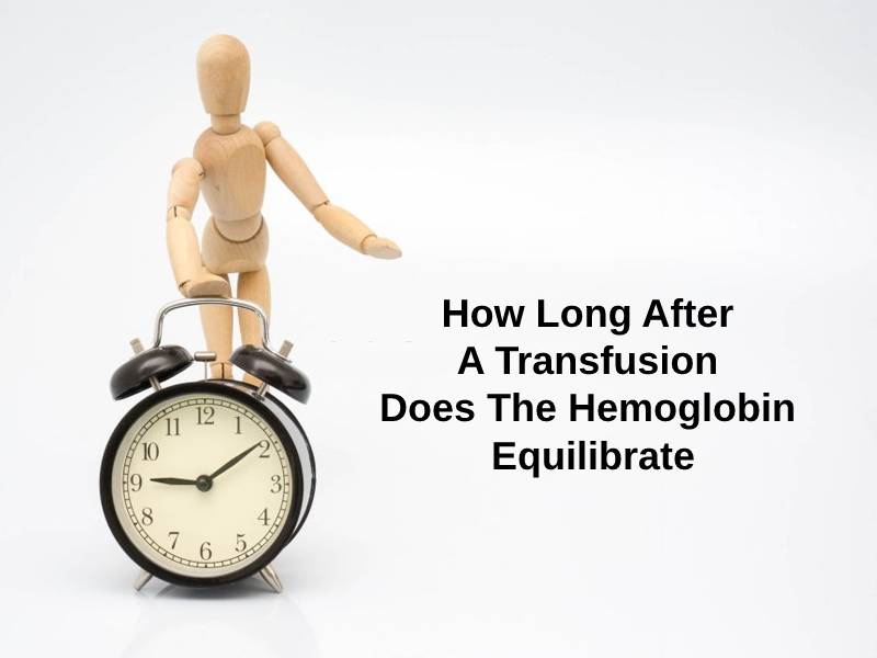 How Long After A Transfusion Does The Hemoglobin Equilibrate