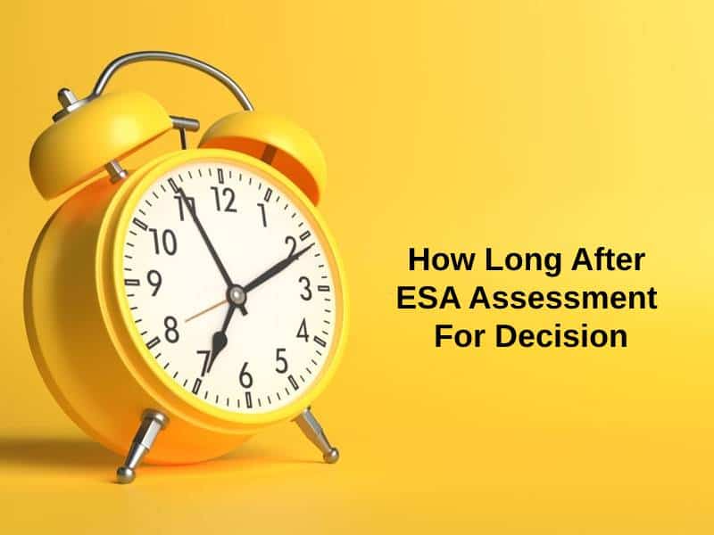 how-long-after-esa-assessment-for-decision-and-why-exactly-how-long