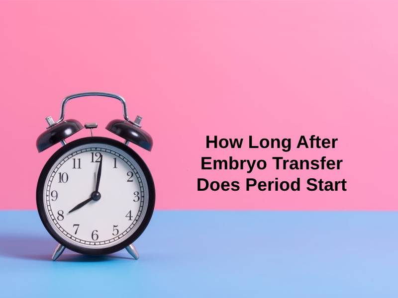 How Long After Embryo Transfer Does Period Start