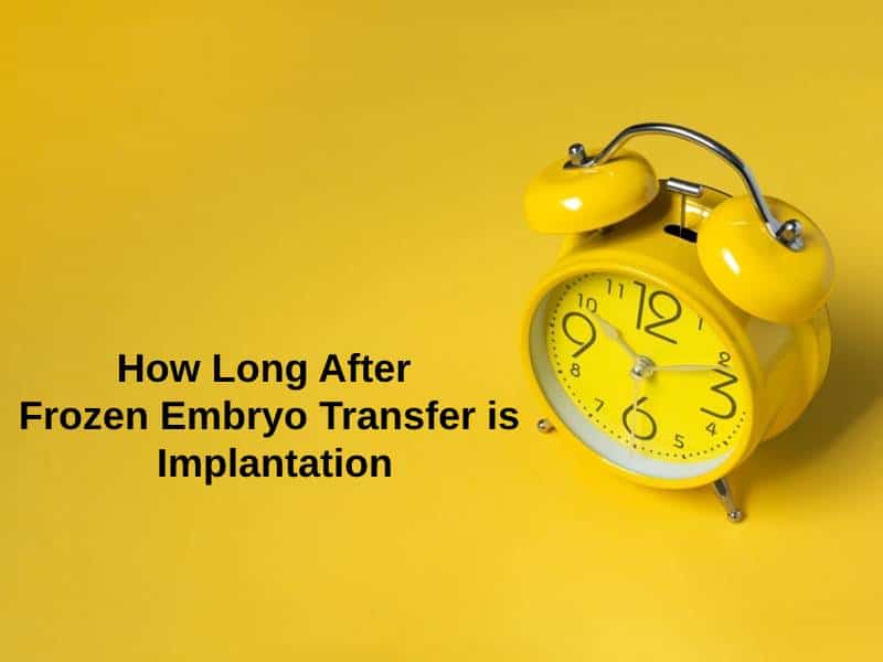 How Long After Frozen Embryo Transfer is Implantation
