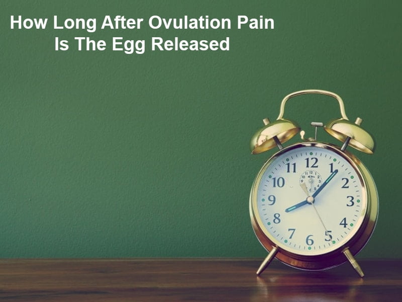 How Long After Ovulation Pain Is The Egg Released