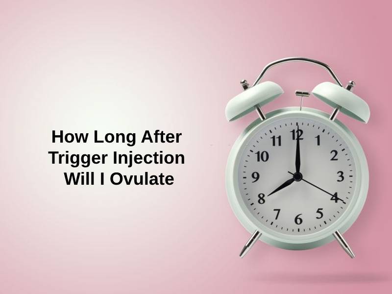 How Long After Trigger Injection Will I Ovulate