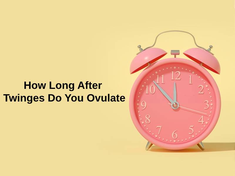 How Long After Twinges Do You Ovulate