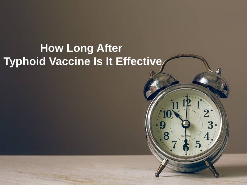 How Long After Typhoid Vaccine Is It Effective 1