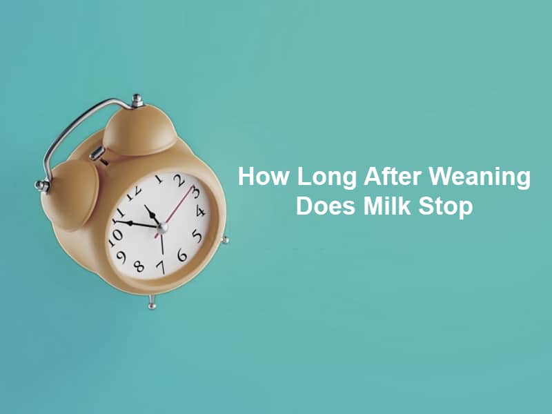 How Long After Weaning Does Milk Stop