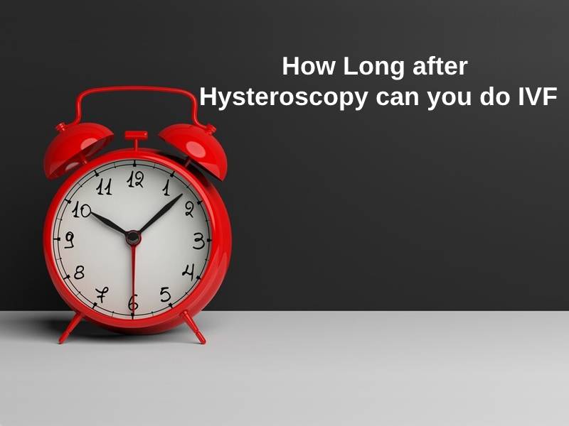 How Long after Hysteroscopy can you do IVF
