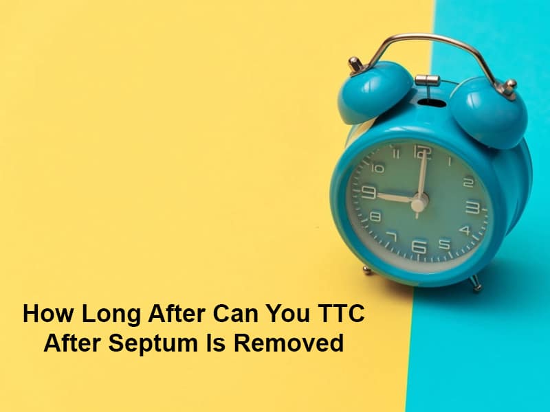 How Long After Can You TTC After Septum Is Removed