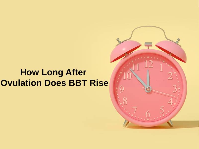 How Long After Ovulation Does BBT Rise