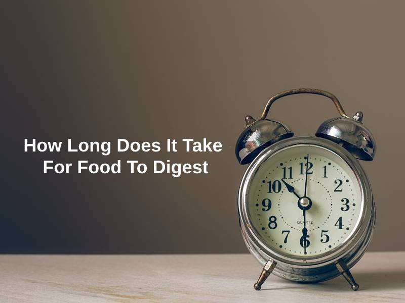 How Long Does It Take For Food To Digest