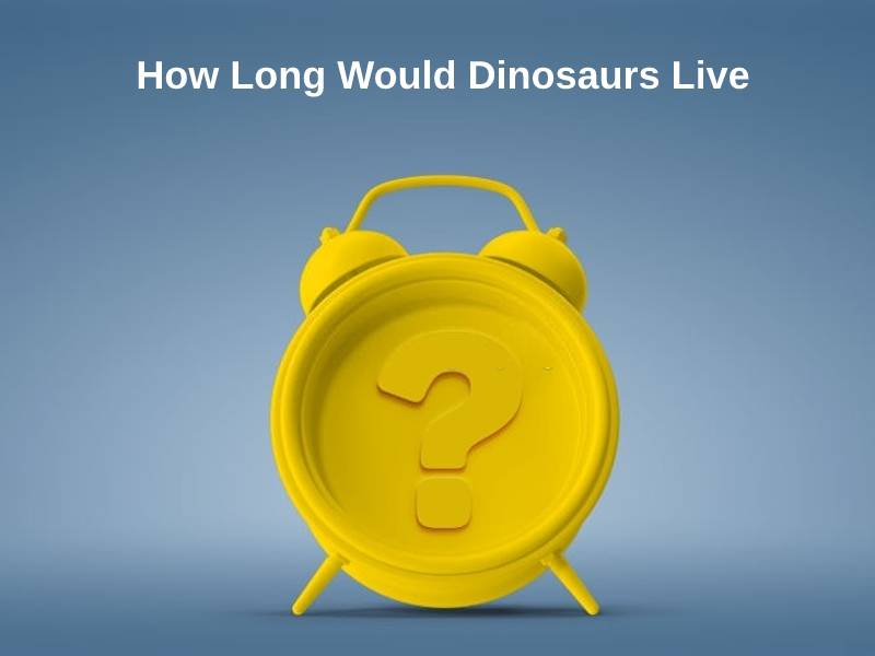 How Long Would Dinosaurs Live
