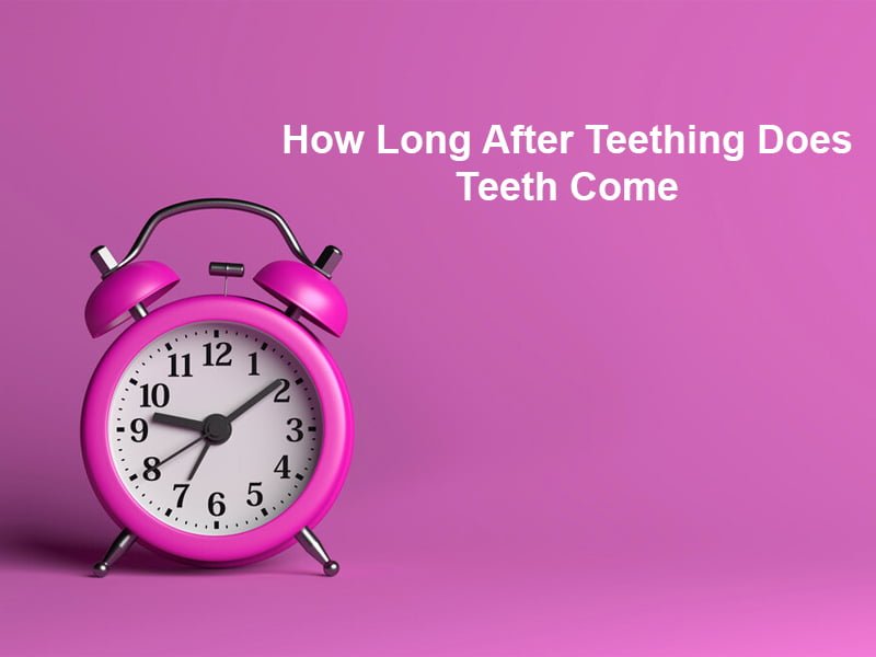 How Long After Teething Does Teeth Come