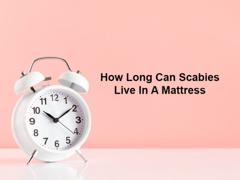 How Long Can Scabies Live In A Mattress (And Why)?