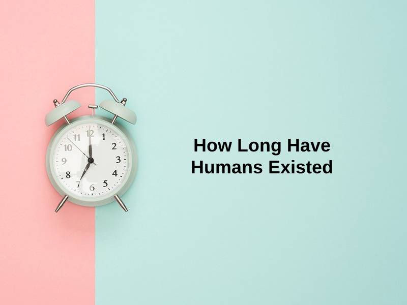 How Long Have Humans