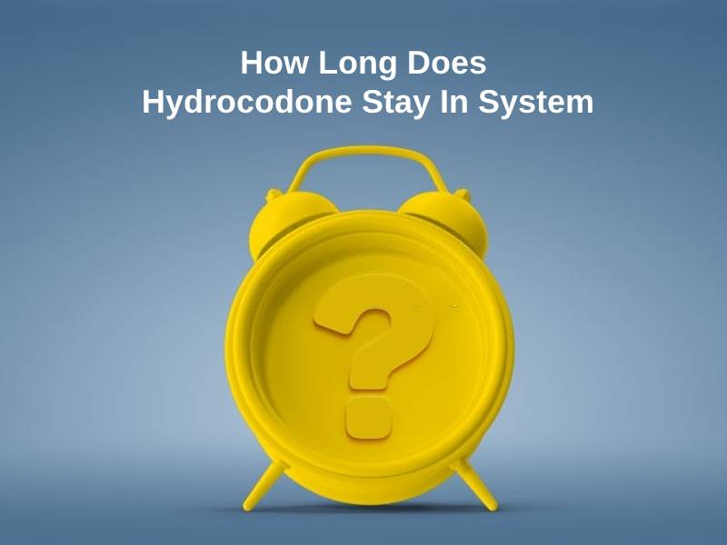 How Long Does Hydrocodone Stay In System