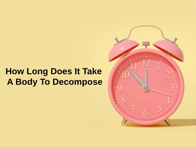 How Long Does It Take A Body To Decompose