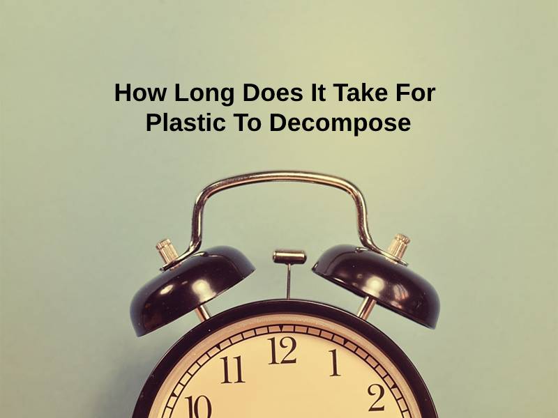 How Long Does It Take For Plastic To Decompose