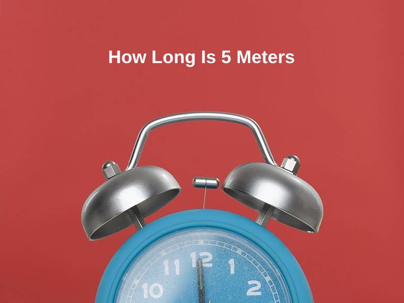 How Long Is 5 Meters