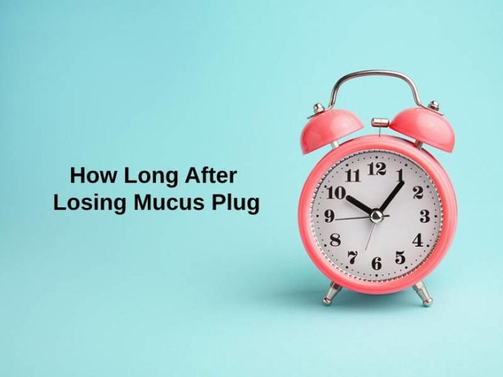 how-long-after-losing-mucus-plug-and-why