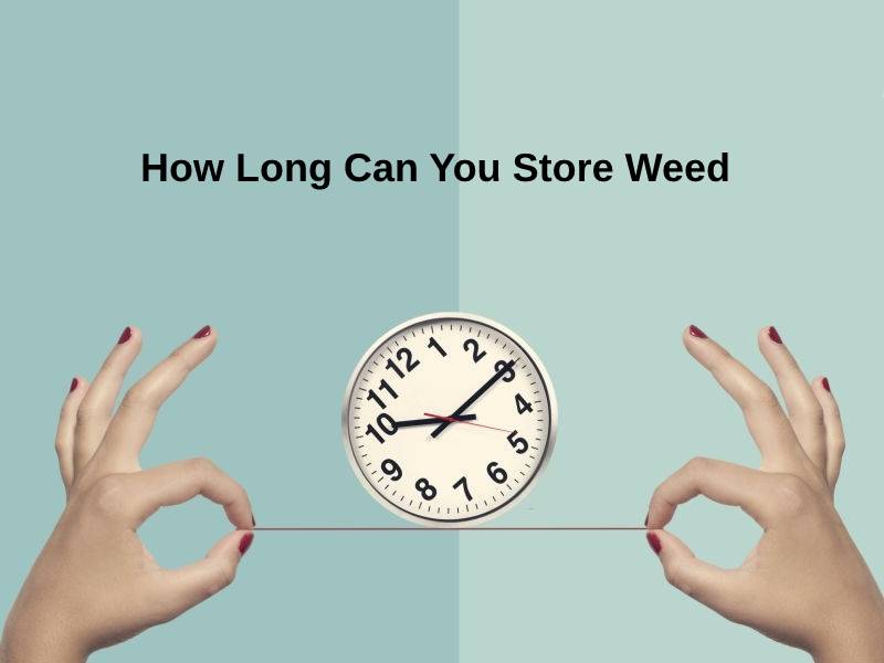 How Long Can You Store Weed