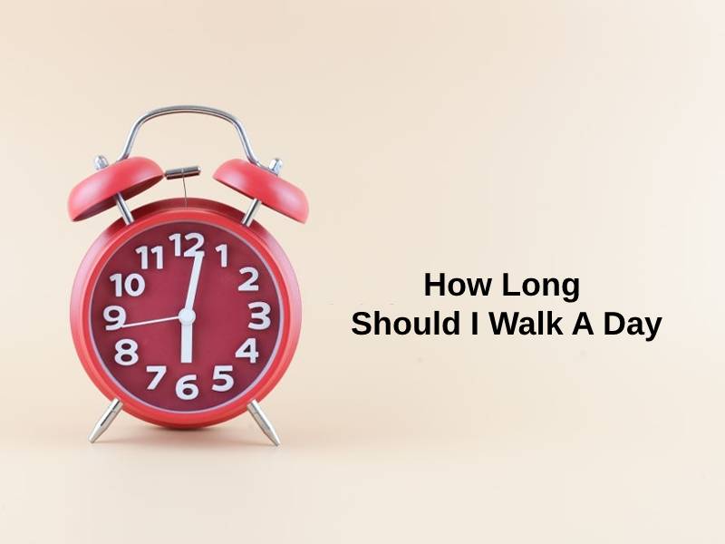 How Long Should I Walk A Day