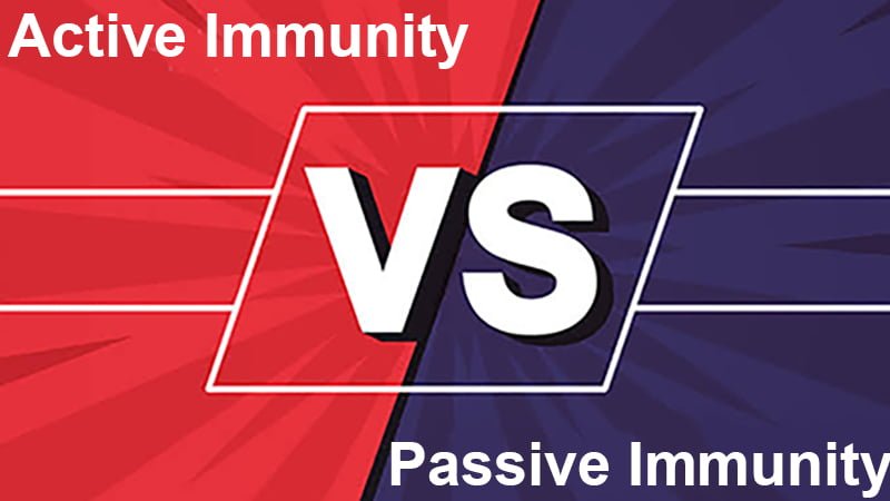 Immunità attiva vs passiva