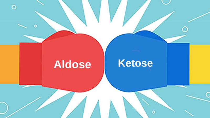 Aldose so với Ketose 1