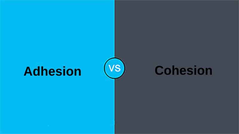 Difference Between Adhesion and Cohesion - When two or more molecules or different molecules come together, they form bonds by some forces. Adhesion and Cohesion are two phenomena that bind molecules with each other and help understand the nature of water. Both Adhesion and Cohesion sound similar, but they differ in some terms.