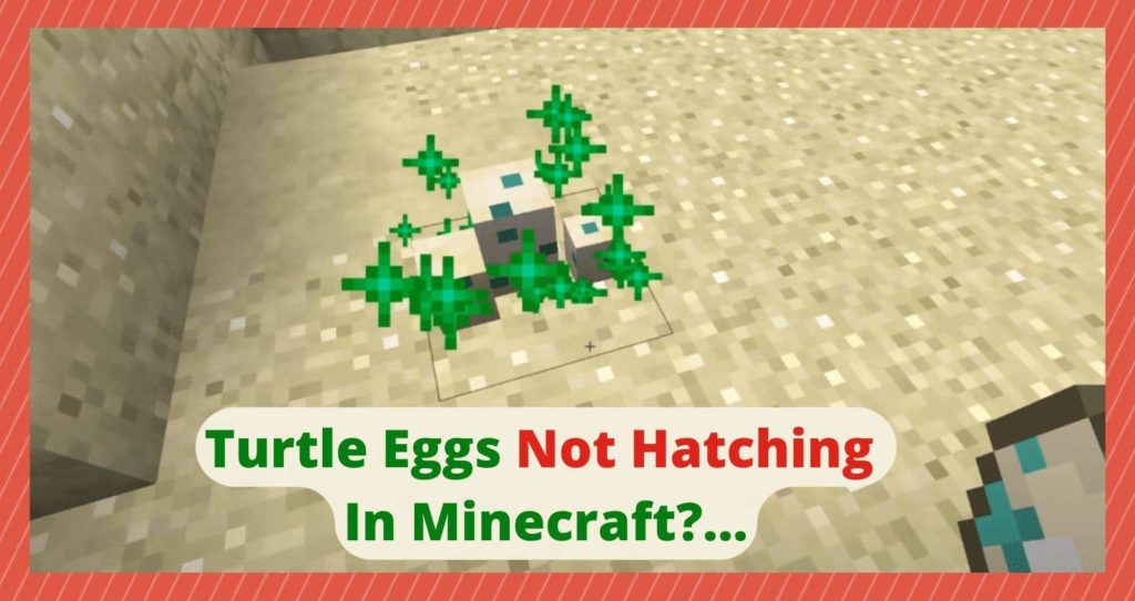 Turtle Eggs Hatch in Minecraft