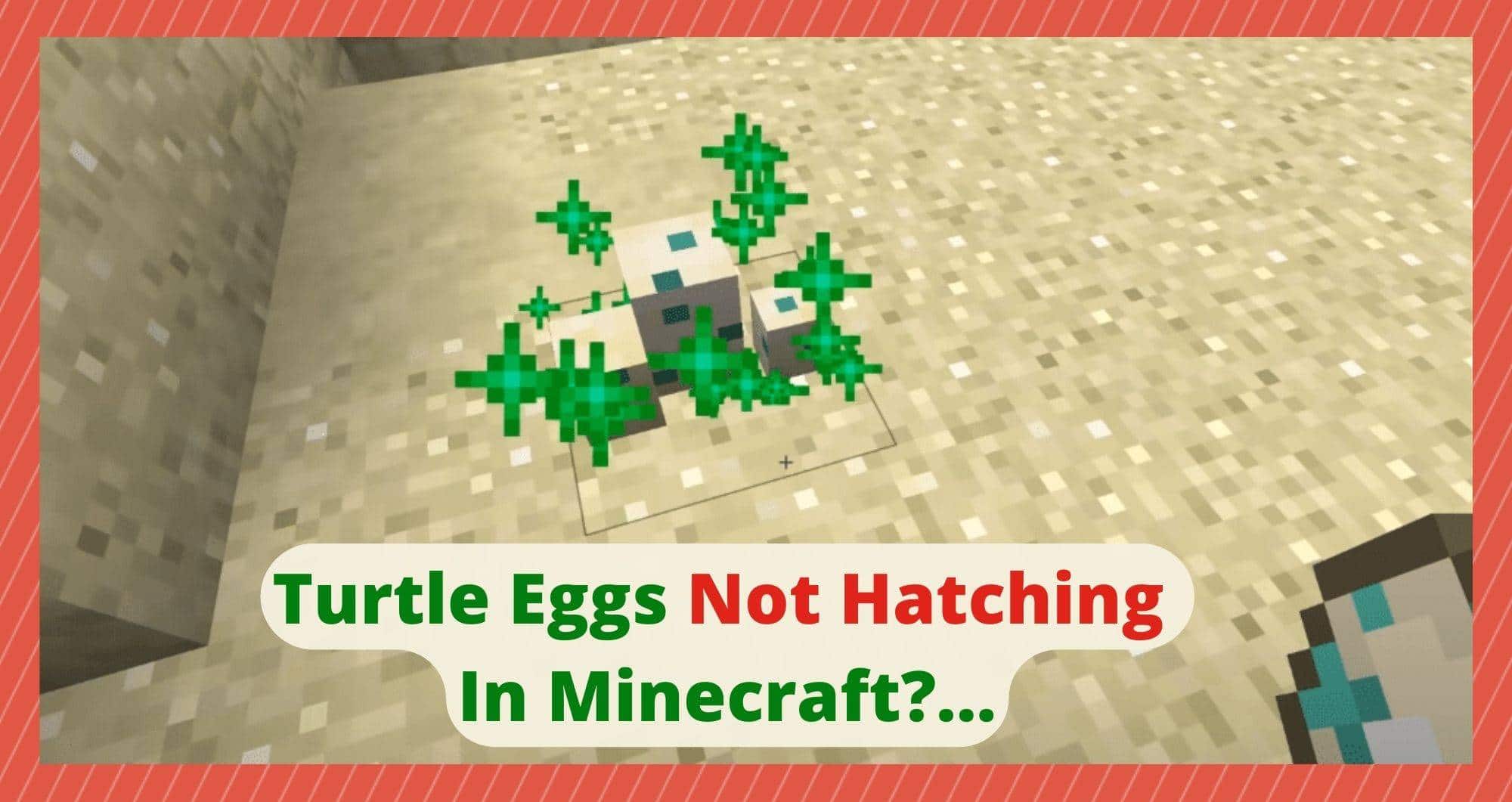 ¿cuánto Tardan En Eclosionar Los Huevos De Tortuga En Minecraft Y Por Qué