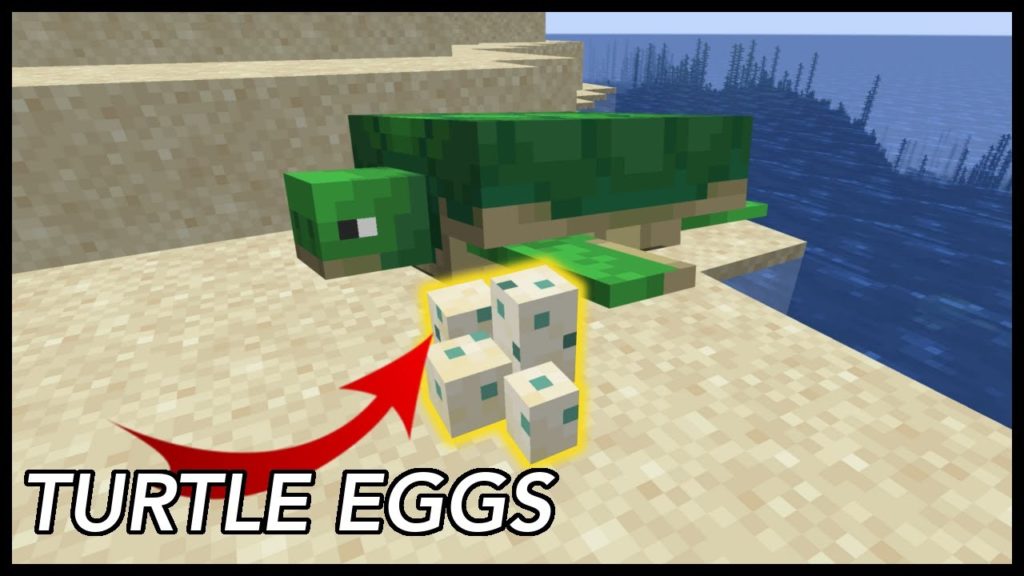 Turtle Eggs in Minecraft